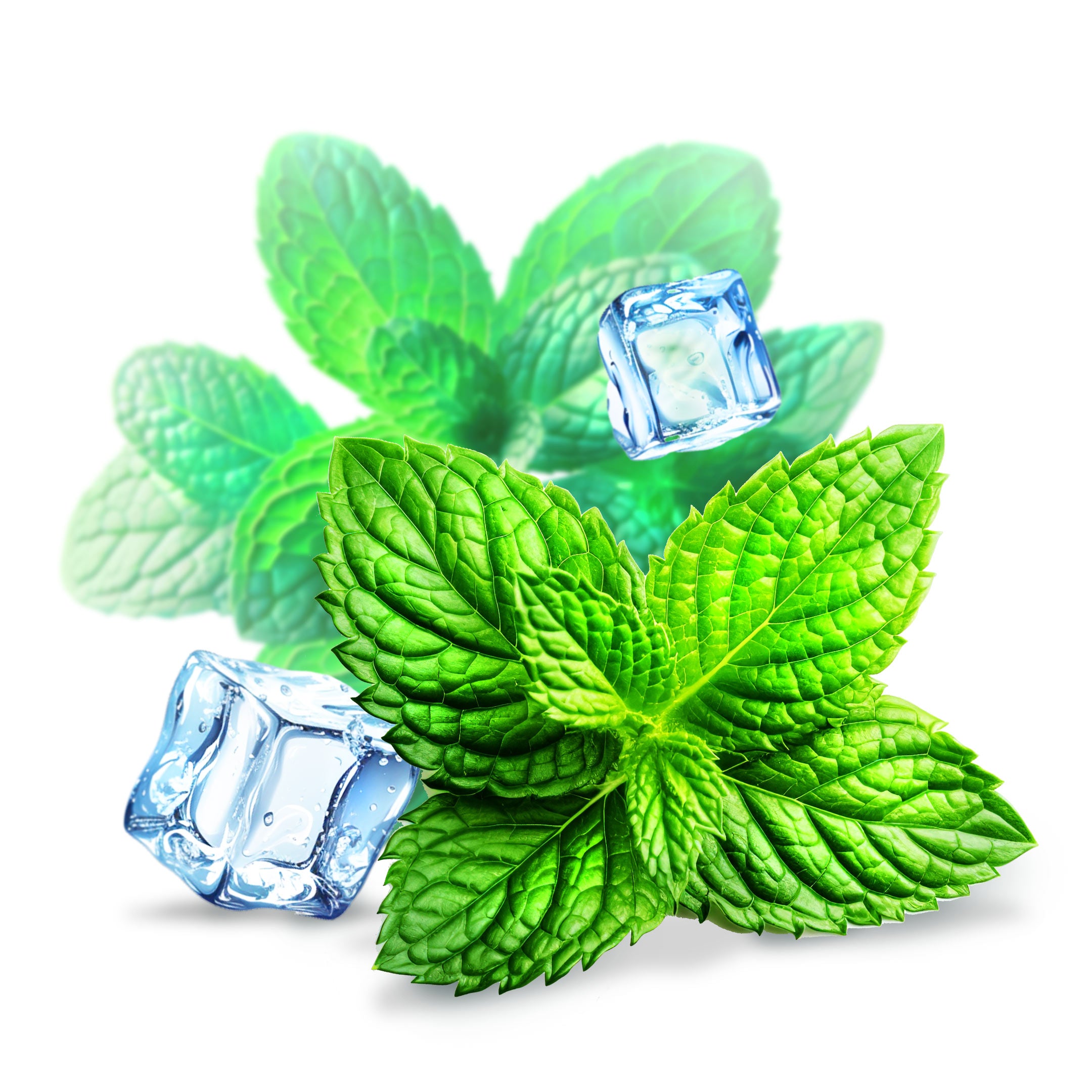 Minty Fresh Nicotine Pouches by Geek